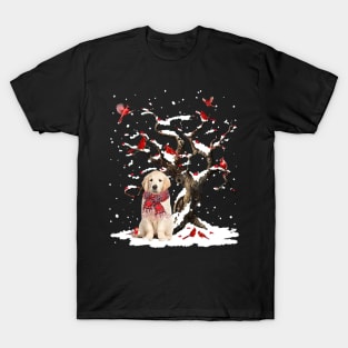 Golden Retriever Scarf Cardinal Snow Christmas T-Shirt